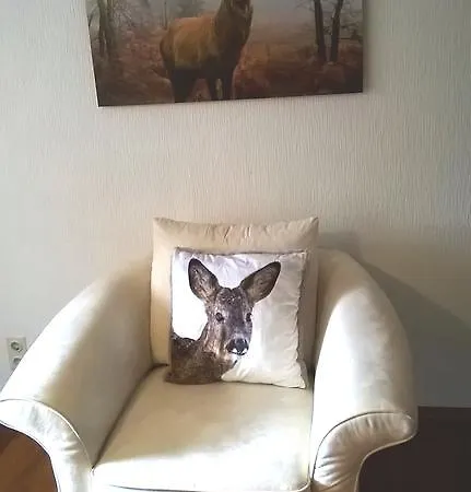 Dani's Ferienwohnung * Freiamt