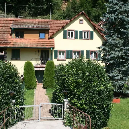Διαμέρισμα Dani's Ferienwohnung Freiamt