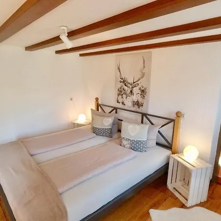 Dani's Ferienwohnung Freiamt